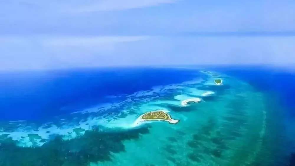 “海南自由港”震撼登場！40個亮點東方和利帶你一文看懂
